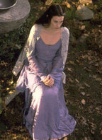 The Lord of the Rings Arwen Cosplay Costume OPC010