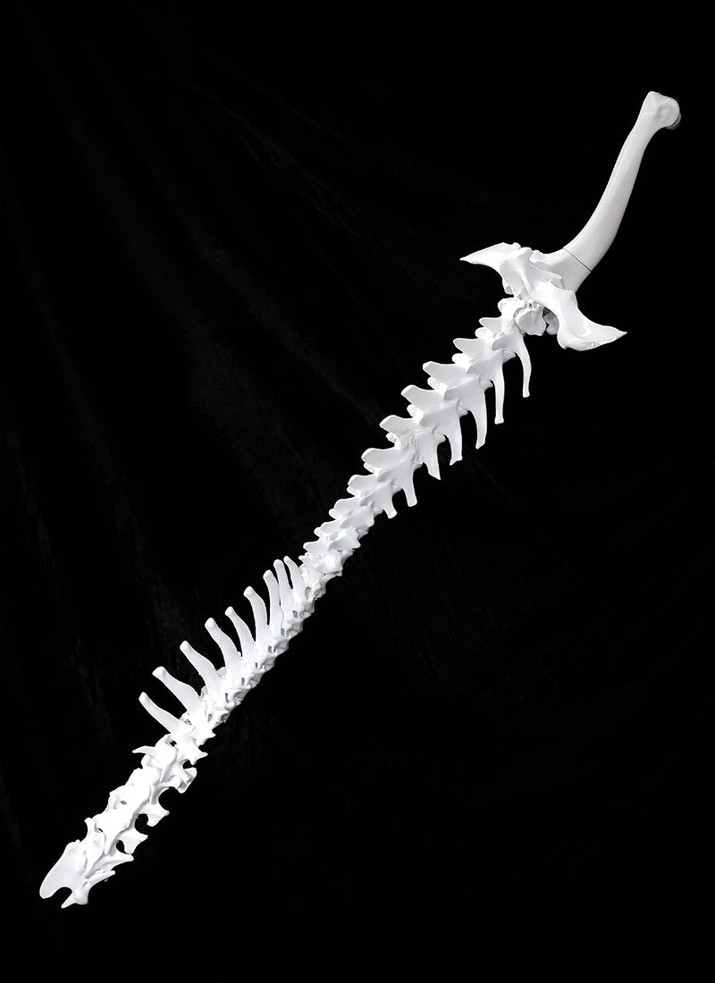 Dao Gui Yi Xian Detachable Spine Sword 3D Printed Unpainted White Prop Kit TD003