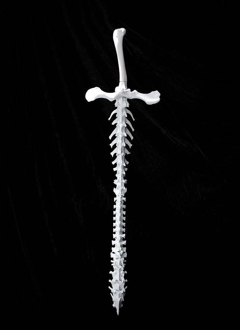 Dao Gui Yi Xian Detachable Spine Sword 3D Printed Unpainted White Prop Kit TD003