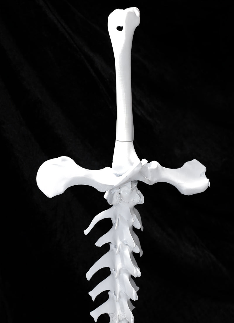 Dao Gui Yi Xian Detachable Spine Sword 3D Printed Unpainted White Prop Kit TD003