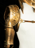 Elden Ring Malenia Blade of Miquella Armor 3D Printed Prop TD007