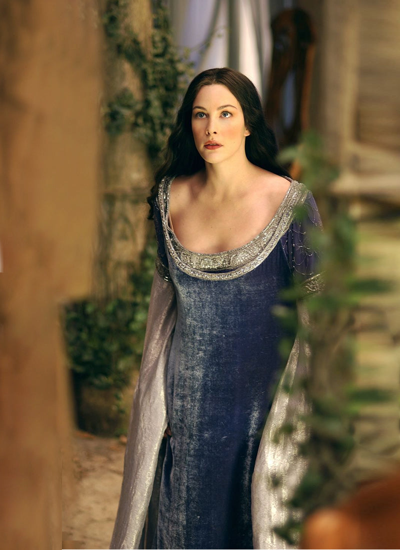 The Lord of the Rings Arwen Cosplay Costume OPC054